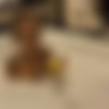 [ATKGirlfriends.com] Holly Hendrix (Las Vegas 2/3) [2016 ., POV, Creampie, Blowjob, Footjob, Orgasm, Daddy, All Sex, 480p] thumb