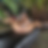 [InTheCrack] ITC1031 - Jillian Janson (x110) thumb