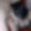 [puzzyfun.com] Mini Hotcore (Yes, Mini loves to be fucked properly and the bitch needs a lot of sperm) [2020-02-01, gangbang, creampie, fucking] [720p] thumb