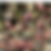 [Uncensored] FC2-PPV-4414646 Intense Creampie Sex With An Elegant Yet Beautiful Mature Woman Who Shakes Her Legs And Orgasms Over And Over Again thumb