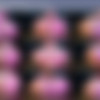 [realcandycat.com] Candy Cat Full video siterip up to 2023.05.05 thumb
