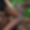 [PublicAgent.com / FakeHub.com] Zaawaadi - African Ebony Loves Big Cock (18.01.2021) [All Sex, Blowjob, POV, Ebony, 720p] thumb