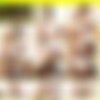 Trannyhookers.com - Collection thumbnail