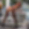 [BrazzersExxtra.com/Brazzers.com] 2020-02-22 Adriana Chechik - Fucking Fired thumbnail