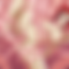 Zone-Archive SiteRip thumb