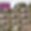 LoveWetting.com SiteRip 2021 thumb