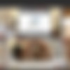 [LadyboyPlay.com] Thippy69 HC and Solo (13 Videos) thumbnail