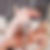 [PornstarPlatinum.com / AluraJensonXXX.com] ALURA JENSON - #1 FAN FUCK! [2020-01-07, Creampie, MILF, Blonde, Big ass, Big tits, Blowjob, Deep throat, Hardcore, Cowgirl, 2160p] thumb