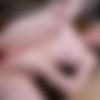 [MonstersOfCock.com / BangBros.com] Hazel Moore (Hazel Does Anal on a BBC) [22.11.2020, Anal, Brunette, White, Hardcore, Cumshot, Amateur, Interracial, Big Dick, Cowgirl, Busty, Young, Doggystyle, Missionary, Riding, Vaginal, UltraHD, 4K, 2160p] thumb