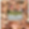 Cream Pie Orgy 7 [DVD9] (Devil's Film, 2008) thumb