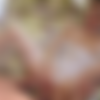 RWS Jenni Lee The Wedding Photographer thumbnail