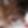 [WoodmanCastingX.com] Olivia Nice (Casting X 176 *UPDATED*) [2021, Gonzo Hardcore All Sex Anal DP Piss 1080p] thumb