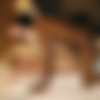 Brothalovers.com Siterip (132 scenes) thumb