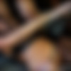 [diamondlouxxx.com] - 