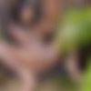 [Watch4Beauty.com] Sofi Vega (Dia En Mexico) [2021-04-20, Solo, Masturbation, Squirt, Outdoors, 1080p] thumb