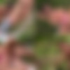 [GrandMams] Lilian Black - Creampied Twice In Vineyard [1080p] thumb