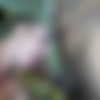 [puzzyfun.com] Venom Evil (Yeah and the next gangbang with the divinely perverted Venom Evil) [2022-09-19, Anal Sex, Blow Job, Gangbang] [548p] thumb