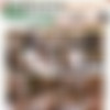 [TabooHeat.com / Bare Back Studios / Clips4Sale.com] Amiee Cambridge, Cory Chase (Road Trip With My Busty Step Mom Vol 2 / Parts 1-4) [2021, all sex, big ass, big tits, blowjob, cumshot, facial, milf, pov, roleplay, taboo, threesome, 1080p] thumb