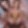[RealJamVR.com] Jessica Ryan, Nicole Aria - Anal Cock Therapy for Babes [2023-05-03, 2D, 3some, American, Anal, Brunette, Close ups, Cowgirl, Doggy style, English speech, F/F/M, Group, Hardcore, Lesbian, Missionary, Petite / slim, Pornstars, POV, Reverse cowgirl, Threesome, 1080p, UnknownRip] thumb