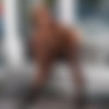 [BrazzersExxtra.com/Brazzers.com] 2020-02-22 Adriana Chechik - Fucking Fired thumbnail