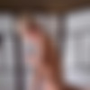 [OnlyFans.com] Cassiereef (coral reef) (2023-12-19) [2023 ., Transsexuals, Shemale, Anal, Bareback, Blonde, Blowjob, Bubble Butt, Cumshot, Hardcore, POV, Small Tits, 1080p, SiteRip] thumb