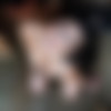 Arrow Marzetti (arrowmarzetti) [SuicideGirls.com] [2021-2023] [solo, posing, multi] [3413x5120 - 8256x11008, 315 , 6 ] thumbnail