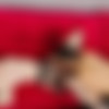 [Onlyfans.com] ClarkandMartha - My Husband Films Alex Jones Fucking Me [2023-10-22, Amateur, BBC, Creampie, Hardcore, Interracial, Lingerie, Natural Tits, Stockings, Straight, Hotwife, 720p, SiteRip] thumb