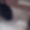 fucking in a hotel with a black slut thumb
