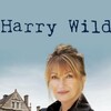 Harry Wild (2022) S01 WEBRip EAC3 2 0 1080p x265-iVy thumb