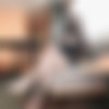[OnlyFans.com] Nana - Teacher 2024 Peeping Chapter New Year, New Teacher. (Nana Taipei) [uncen] [2024 ., All Sex, Blowjob, 1080p] thumb