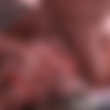 Nasty Cumshot Cumpilation thumbnail