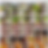 [OnlyFans.com] Couple Games Special (Hong Kong Doll) [uncen] [2023 ., All Sex, BlowJob, 1080p] thumb