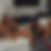 [OnlyFans.com ]Isabelle Deltore & Fit Kitty & Kayla East ( Aussie Reverse Orgy ) [2023, Gonzo, Hardcore, All Sex,Straight , Orgy 1080p] thumb