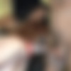 [puzzyfun.com] Cumslut Nicci and Freya Hore (Our asian extreme cum whore is training an 18 year old teen) [2020-02-14, Amateur, Fucking, Orgy] [720p] thumb