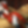 SexyFur Siterip thumbnail