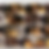 Ladyboy - HelloLadyboy, LadyboyVice, LadyboyGold (Recent Scenes) - Megapack thumb