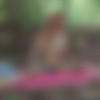 [Abbywinters.com] Judith - Bathing In Nature [2023-01-31, Solo, 1080p] thumb
