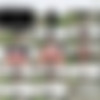 LoveWetting.com SiteRip 2015 thumb
