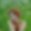 [Amateur, Lesbian] [ 712x1072  2000x3008, 12 709 ] thumb
