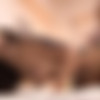 Hatano Yui, Houjou Maki (Shiraishi Sayuri), Iioka Kanako (Morisawa Kana), Iijima Kuuga, Hanasaki Ian, Fukiishi Rena (Masaki Misato), Kujou Sayaka, Himesawa Haren, Shinomiya Akari, REIHANE - Tattoo Girls 12 People 4 Hours /     [PHD-002] (Bermuda) [cen] [2018 ., Fetish, Best, Omnibus, Big Tits, HDRip] [720p] thumb