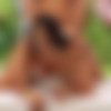 [NetVideoGirls.com / NVG Network]Aria ( Omg The Latest Nvg)[2023, Gonzo, Hardcore, All Sex ,POV 576p] thumb