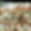 Young Girl Seductions 6 {  } thumb