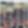[BangBus.com / BangBros.com] Sunshine Tampa - Fuck The Pussy Like A Champ (bb18576 / 31.08.22) [2022 ., Blowjob, Brunette, White, Hardcore, Cumshot, Amateur, Facial, Interracial, Milf, Big Tits, Shaved, Deep Throat, Doggy, Big Dick, Big Cock, Cowgirl, Busty, Doggystyle, Missionary, Riding, Cow Girl, Vaginal, Small Booty, Small Butt, 480p] thumb