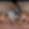 [SexBabesVR.com] Lexi Dona - Passionately Devious [2024-04-05, Cowgirl, Doggystyle, Missionary, POV, Blowjob, Body Cumshot, Reverse Cowgirl, Hardcore Porn, Brunette, Pornstar, Small Tits, Pussy Licking, Landing Strip Pussy, Long Hair, Handjob, Girl Orgasm, Athletic, Natural Boobs, Rough Sex, Hairy Pussy, Wet Pussy, Lingerie, Brown Eyes, Standing Doggystyle, 5K, SideBySide, 2700p, SiteRip] [Oculus Rift / Vive] thumb