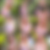 [Katya-Clover.com] - 2021-01-25 - Joy (Clarice) - Dont Be Shy - IMAGESET thumb
