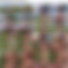[GrandMams] Lilian Black - Creampied Twice In Vineyard [1080p] thumbnail