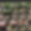 Sneakypee Jul-Aug 2019 thumbnail
