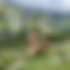Touched By Nature [Amateur,Solo, Masturbation,Posing,Exhibitionism] [ 320*235  4032*3024, 348 ] thumb