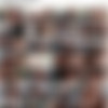 [DigitalPlayground.com] Ana Foxxx & Anya Olsen - Matriarch (25.03.2020) [2020 ., Lesbian, 720p] thumb