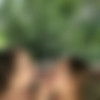 [Onlyfans.com] BigBootyBailey, Katie Clark - Double Sided Dildo [2022-08-17, Amateur, Cunnilingus, Dildo, Girl/Girl, Lesbian, Natural Tits, Teen, Toys, 400p, SiteRip] thumb